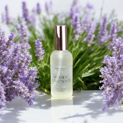 Seaside Lavender