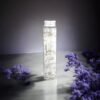 Lavender 09